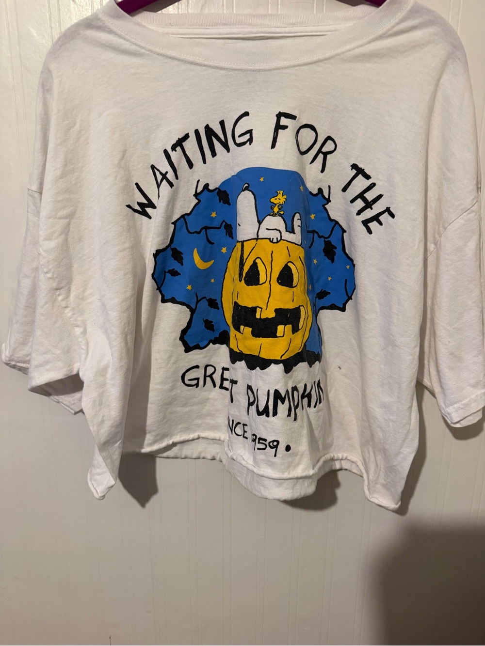 White 'Waiting for the Great Pumpkin' womens Graphic Tee XL